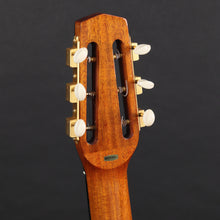 Load image into Gallery viewer, Gitane DG-455 Thinline Gypsy Jazz Guitar w/case (Pre-owned)