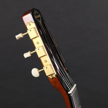 Load image into Gallery viewer, Gitane DG-455 Thinline Gypsy Jazz Guitar w/case (Pre-owned)