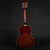 History Blues Series 15" Archtop (Pre-owned)