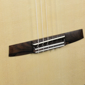 Hanika HE Lattice Concert Classical Guitar