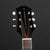 King Snake Muddy Cutaway - Tobacco Sunburst #053