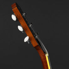 Load image into Gallery viewer, King Snake Curtis - Amber Natural