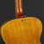 King Snake Muddy Non Cutaway - Amber Natural 015
