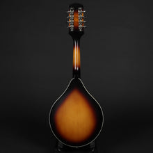 Load image into Gallery viewer, Ozark 23723T A-Style Mandolin (Pre-owned)
