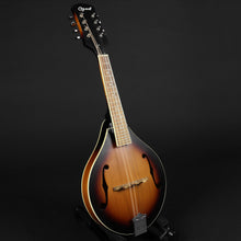 Load image into Gallery viewer, Ozark 23723T A-Style Mandolin (Pre-owned)