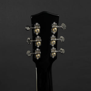 Sigma SATA-200E Archtop