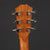 Taylor GS Mini-e Rosewood Plus (Pre-owned)