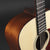 Preston Thompson D-MA Adirondack/Mahogany (Pre-owned)
