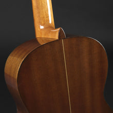 Load image into Gallery viewer, Altamira N200 Classical Guitar