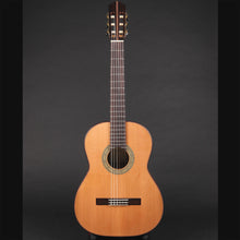 Load image into Gallery viewer, Aria C201 Cedar/Mahogany Classical Guitar