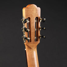Load image into Gallery viewer, Aria C201 Cedar/Mahogany Classical Guitar