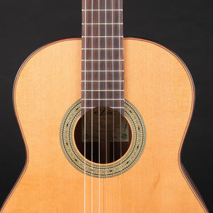 Aria C201 Cedar/Mahogany Classical Guitar