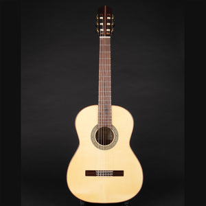 Aria S201 Spruce/Mahogany Classical Guitar