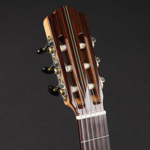Aria S205 Spruce/Rosewood Classical Guitar