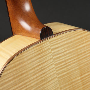 Nick Branwell Small Archtop