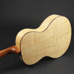 Nick Branwell Small Archtop