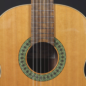 Paco Castillo 201 Classical Guitar - Mak's Guitars 