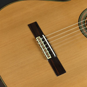 Paco Castillo 205 Classical Guitar Cedar/Rosewood