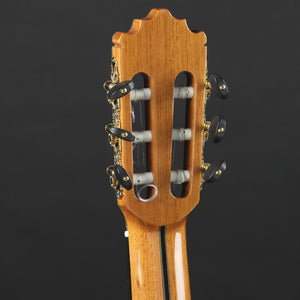 Paco Castillo 205 Classical Guitar Cedar/Rosewood