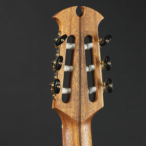 2021 Dowina Master Series Hybrid Cutaway Nylon (Pre-owned)