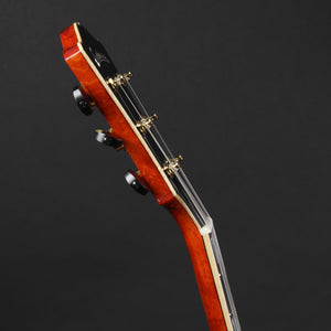 Eastman AR580CE-HB Archtop - Honeyburst #0312