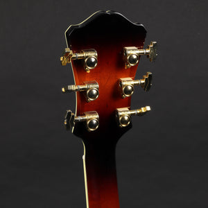 2005 Eastman AR810CE 17" Archtop - Sunburst (Pre-owned)