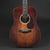 Eastman E1D Dreadnought Classic #8821