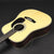 Eastman E8D-TC Thermo Cured Alpine Spruce #3170