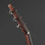 Eastman E8OM-TC Thermo Cured Top #3130