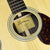 Eastman E8OM-TC Thermo Cured Top #3130
