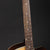 Eastman PCH2-GACE Electro-Acoustic
