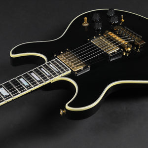 Fender Custom Shop Robben Ford Ultra SP - Ebony