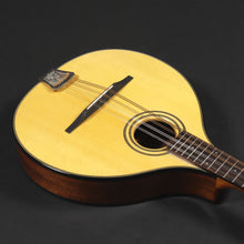 Load image into Gallery viewer, Fylde Touchtone Mandolin (Pre-owned)