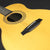 Fylde Eric Bibb Signature Guitar (Pre-owned)