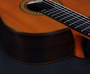 Juan Hernandez Profesor Classical Guitar Guitars