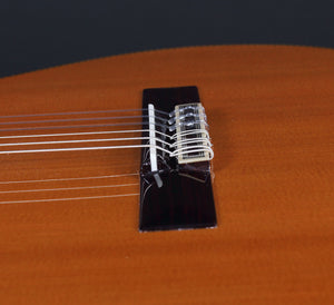 Juan Hernandez Profesor Classical Guitar Guitars