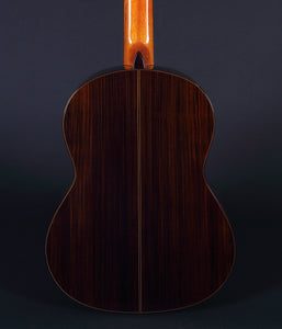 Juan Hernandez Profesor Classical Guitar Guitars