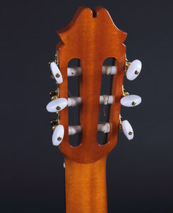 Juan Hernandez Profesor Classical Guitar Guitars