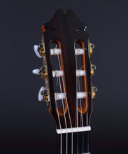 Load image into Gallery viewer, Juan Hernandez Profesor Classical Guitar Guitars