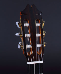 Juan Hernandez Profesor Classical Guitar Guitars