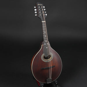 Eastman MD304L Left-handed Mandolin #2375