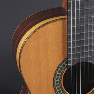 Paco Castillo 204 Classical Guitar Cedar/Granadillo - Mak's Guitars 