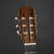 Paco Castillo 204 Classical Guitar (Pre-owned)