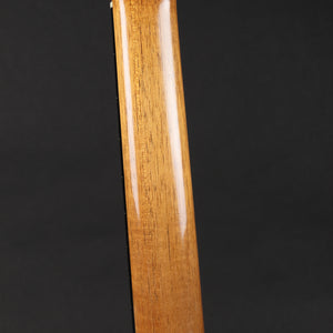 Stephen Eden Concert Classical Guitar (Pre-owned)