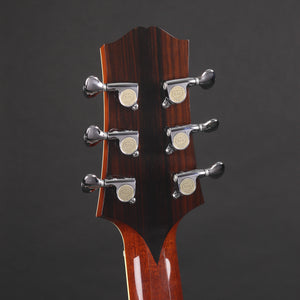 Mike Vanden '335' Semi-Acoustic (Pre-owned)
