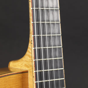 2012 Mike Vanden Maya Archtop (Pre-owned)